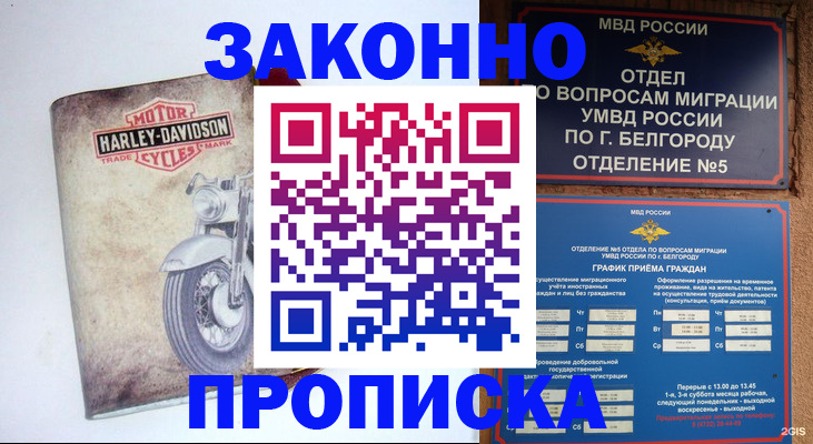 прописка для школы в Тихорецке